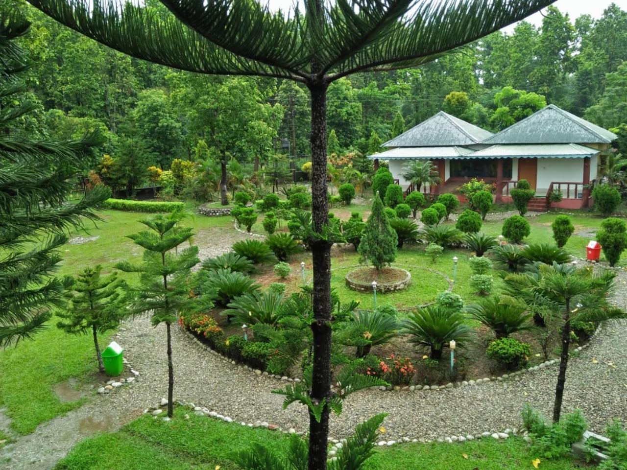 Kadambini Resort Lataguri Extérieur photo